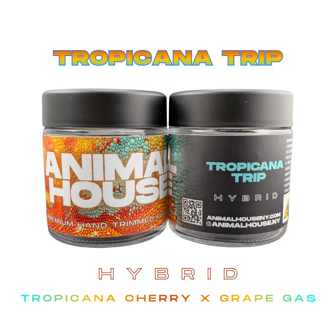 Tropicana Trip - 3.5 g