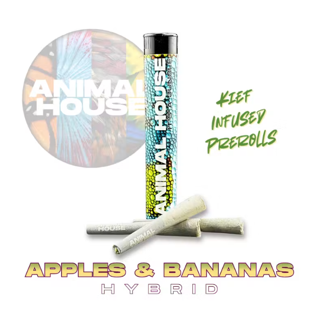 Apples & Bananas - 1.5 g - 3 Pack