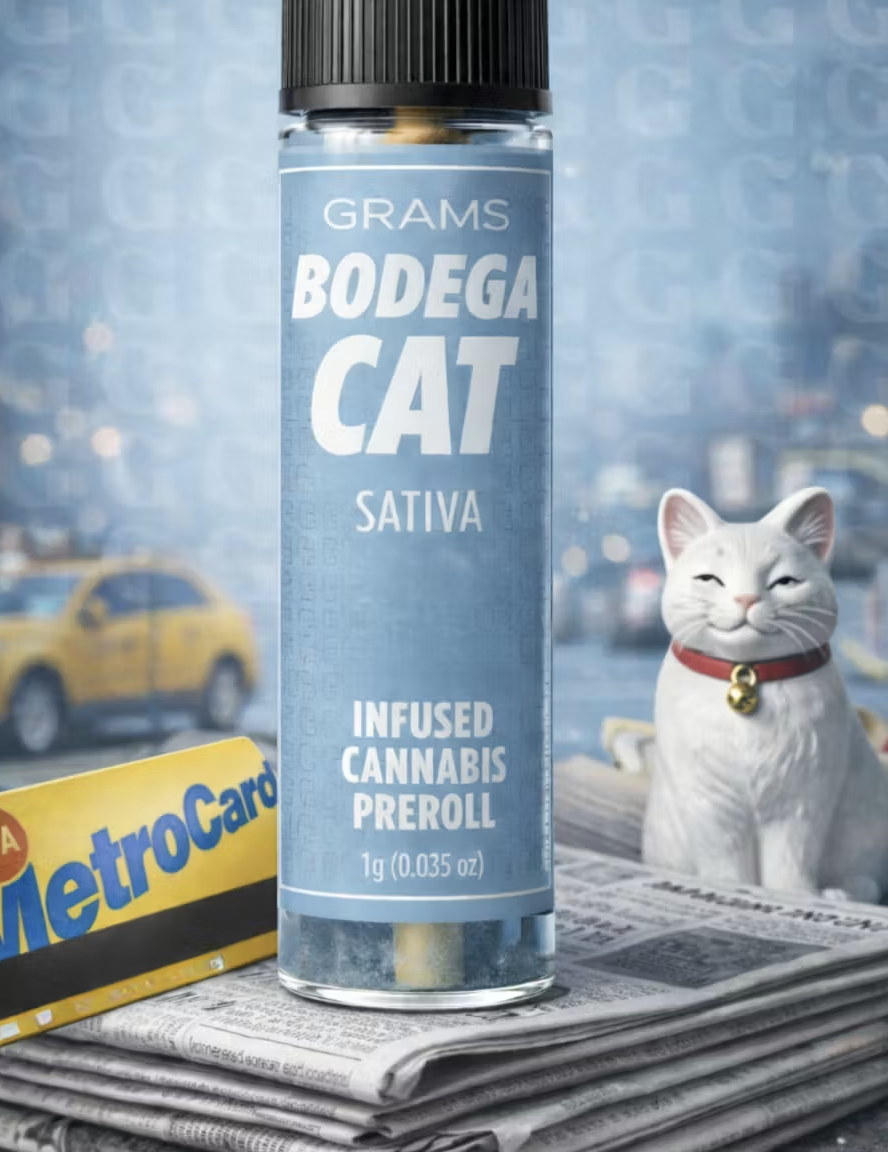 Bodega Cat - 1g