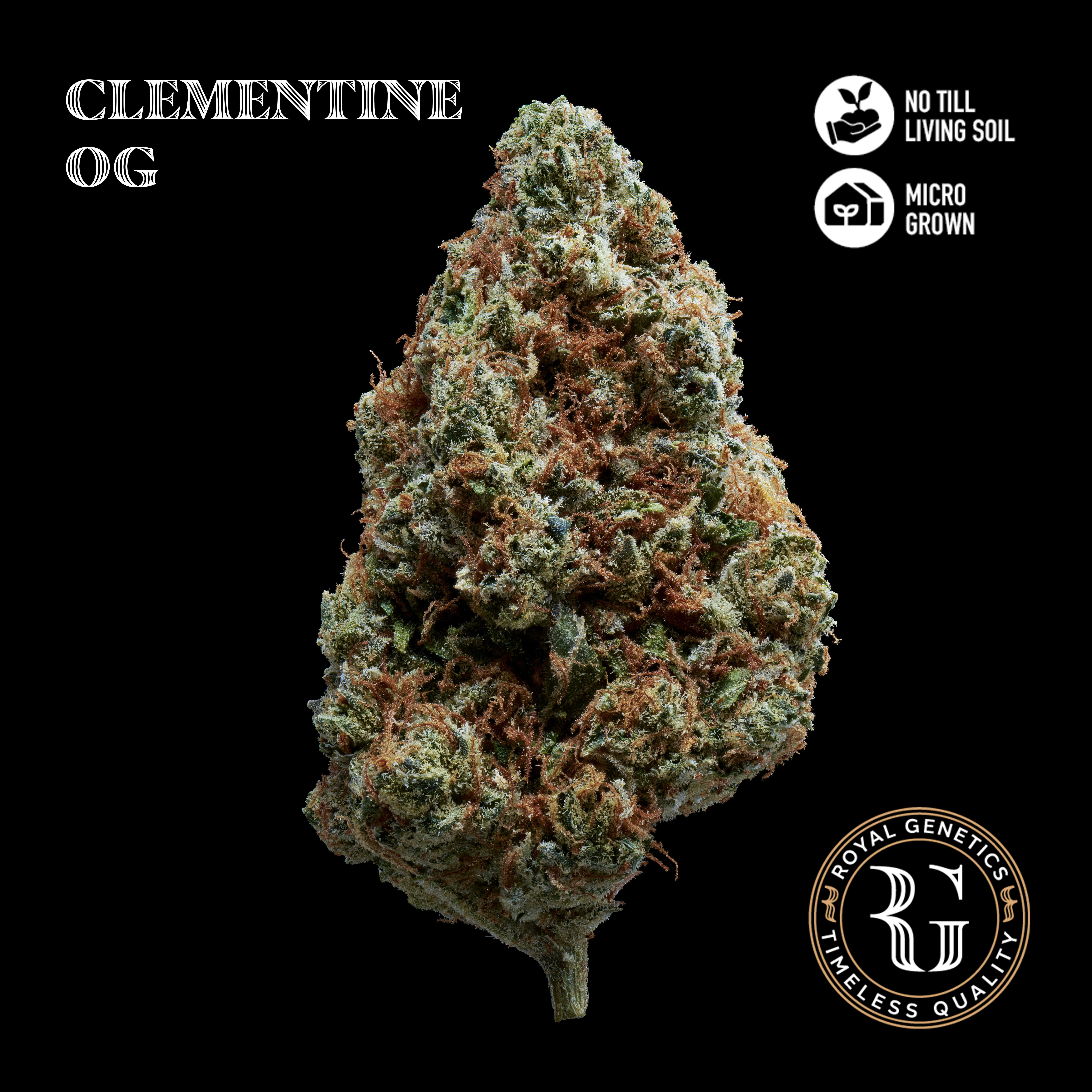 Clementine OG - 3.5 g