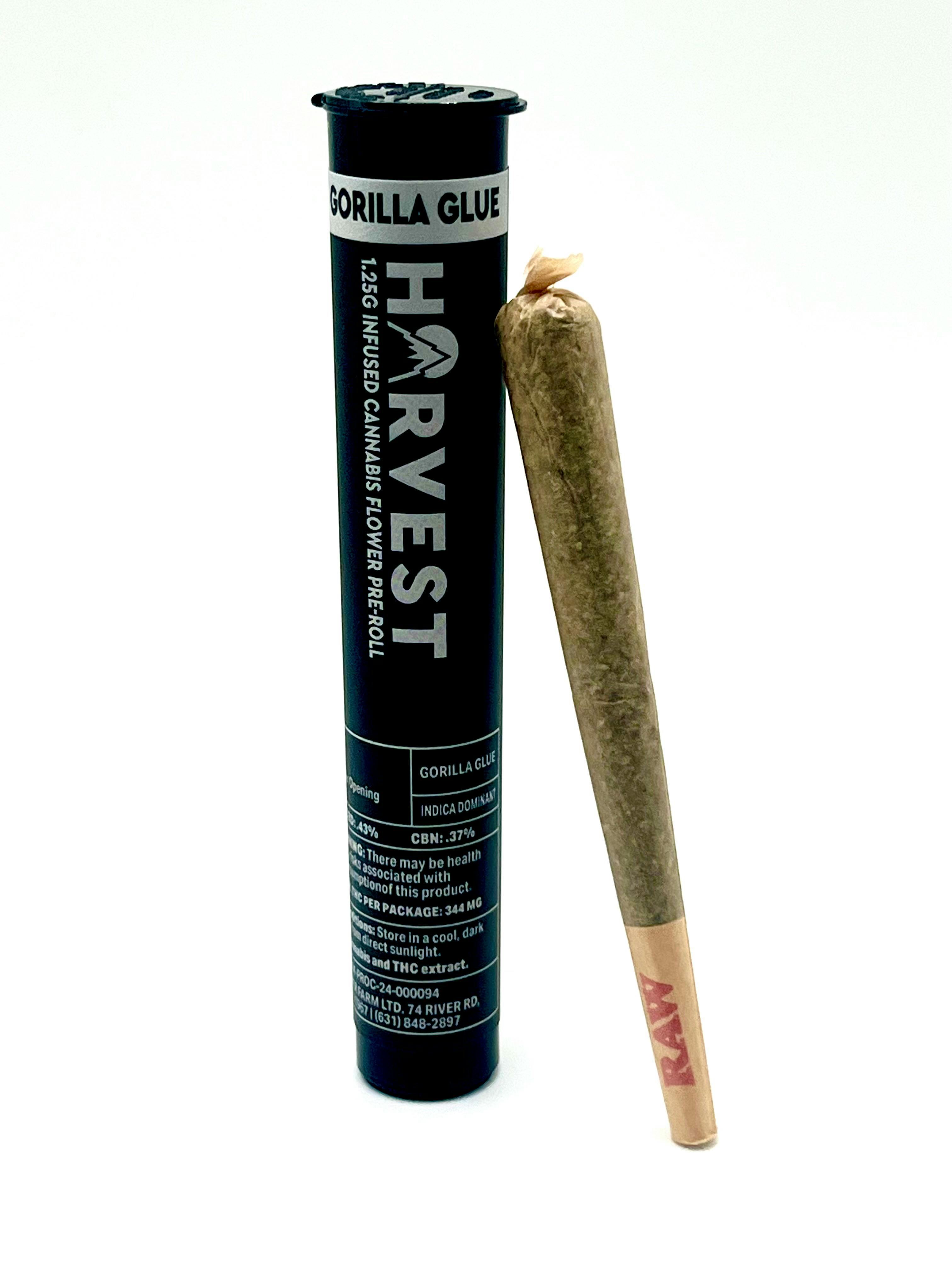 Gorilla Glue - 1 g