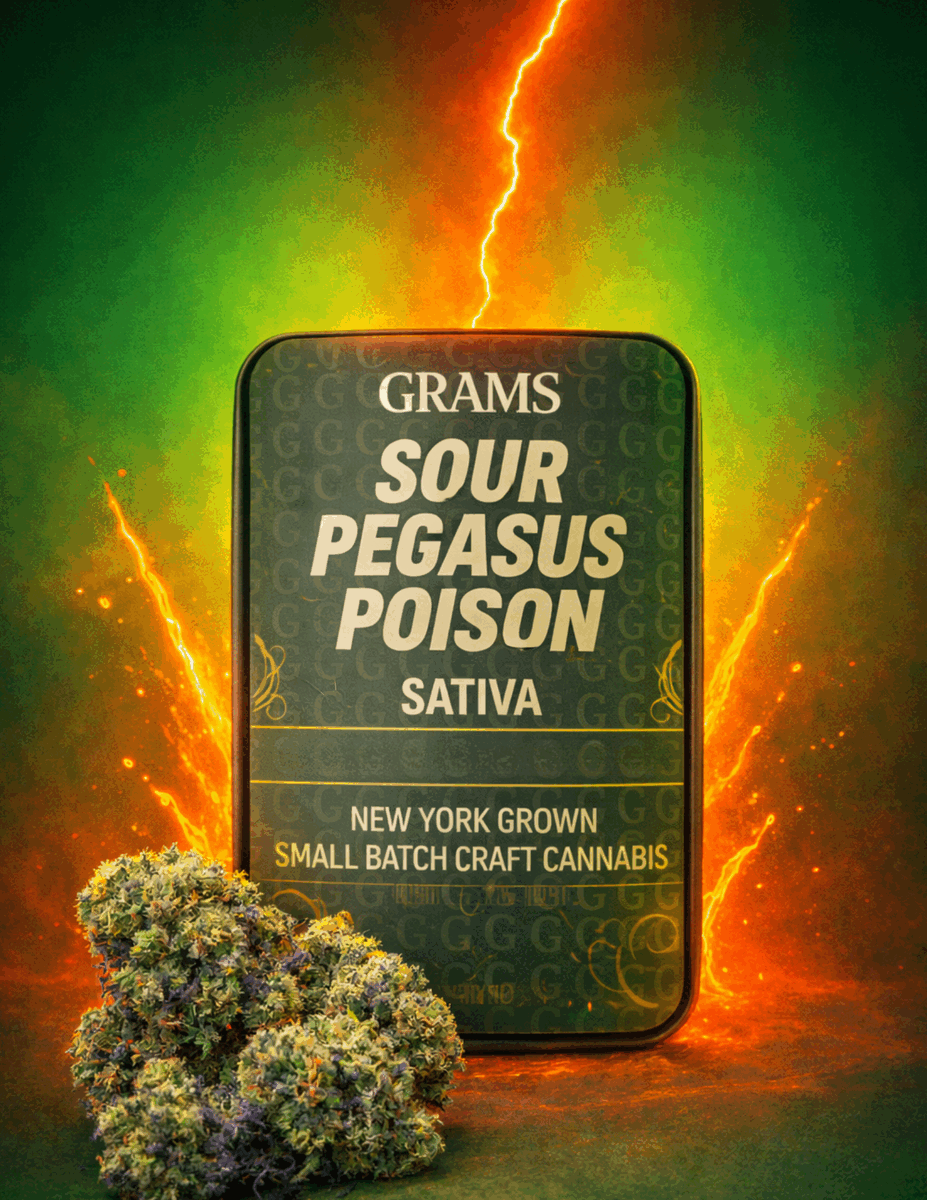 Sour Pegasus Poison 5 Pack