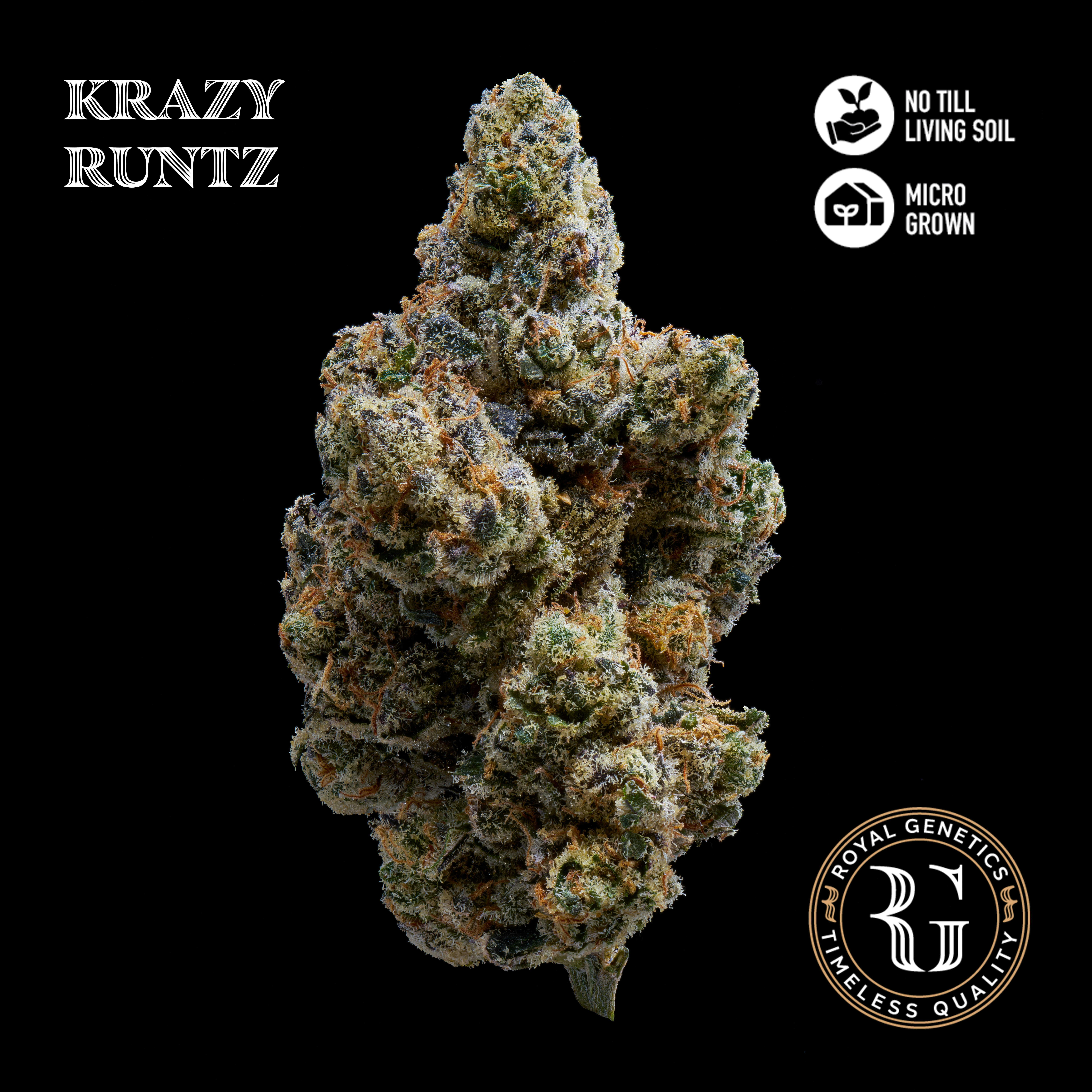 Krazy Runtz - 3.5g