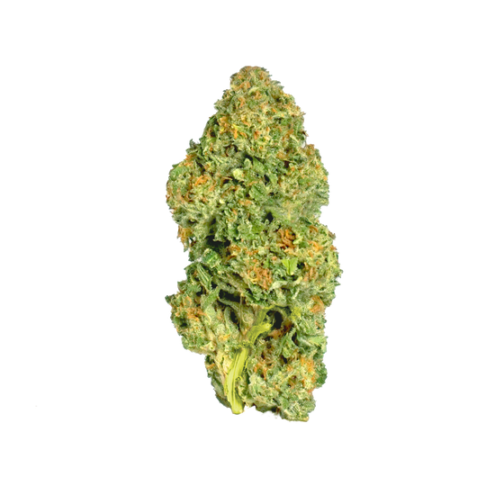 G13 - 14 g