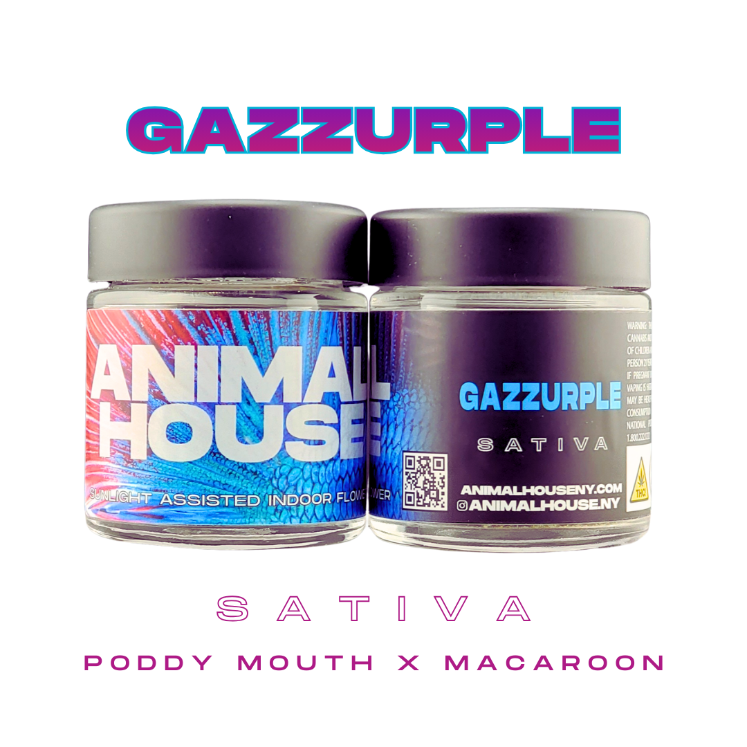 Gazzurple - 3.5 g