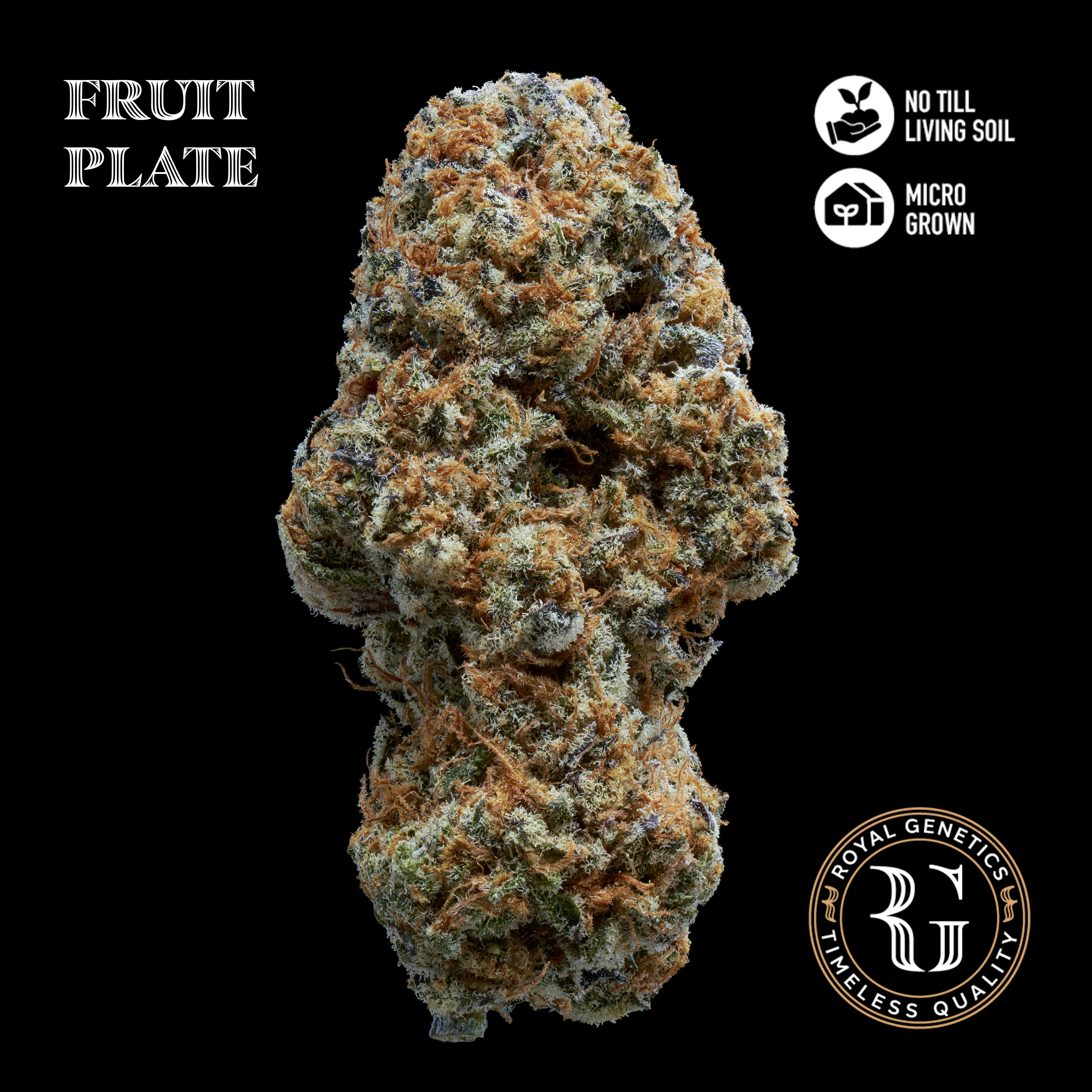 Fruit Plate - 3.5 g
