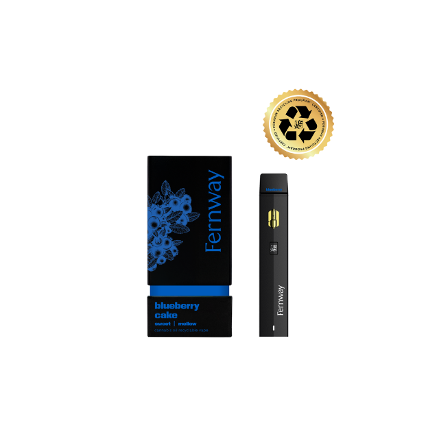 FERNWAY - BLUEBERRY CAKE DISPOSABLE 1G
