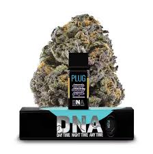 SUGAR DADDY PURPLE