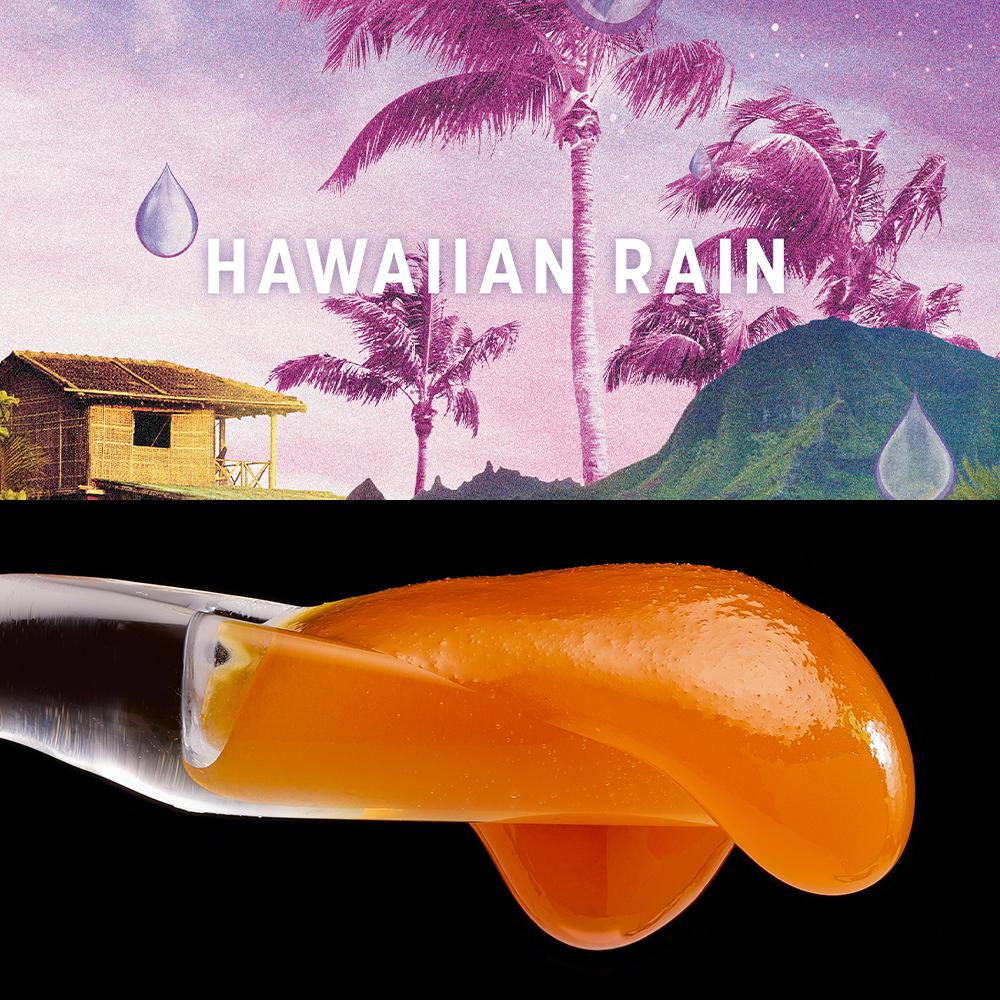 Live Badder Hawaiian Rain