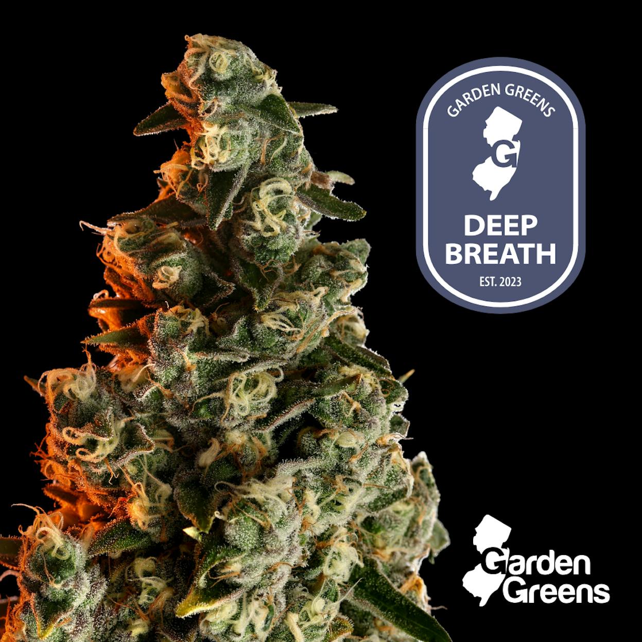 Cannabis Flower in Red Bank, NJ | Canopy Crossroad