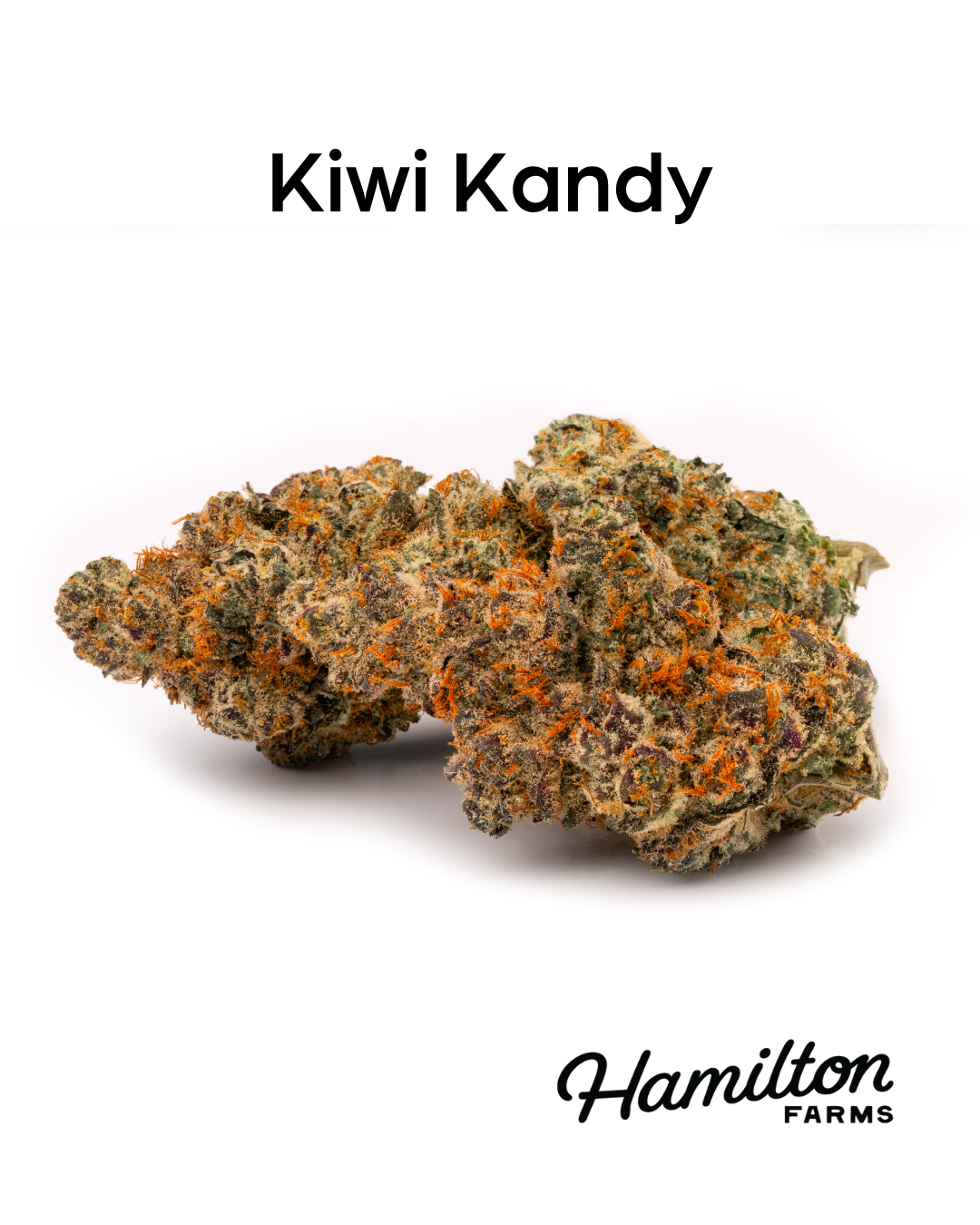 KIWI KANDY | FLOWER 3.5G