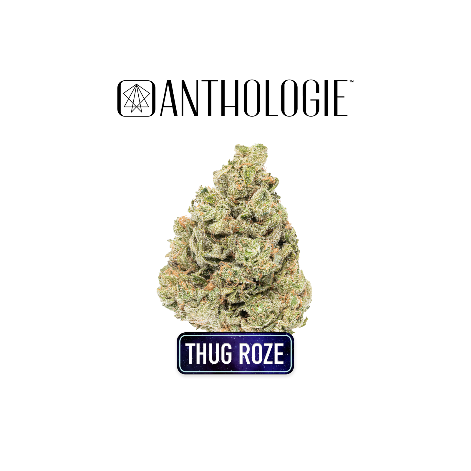 THUG ROZE | LITTLES