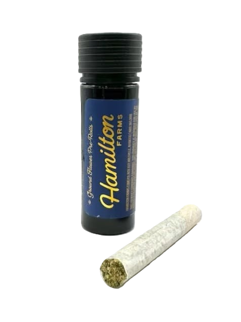ROYAL BLUE DREAM | PRE-ROLLS 2PK
