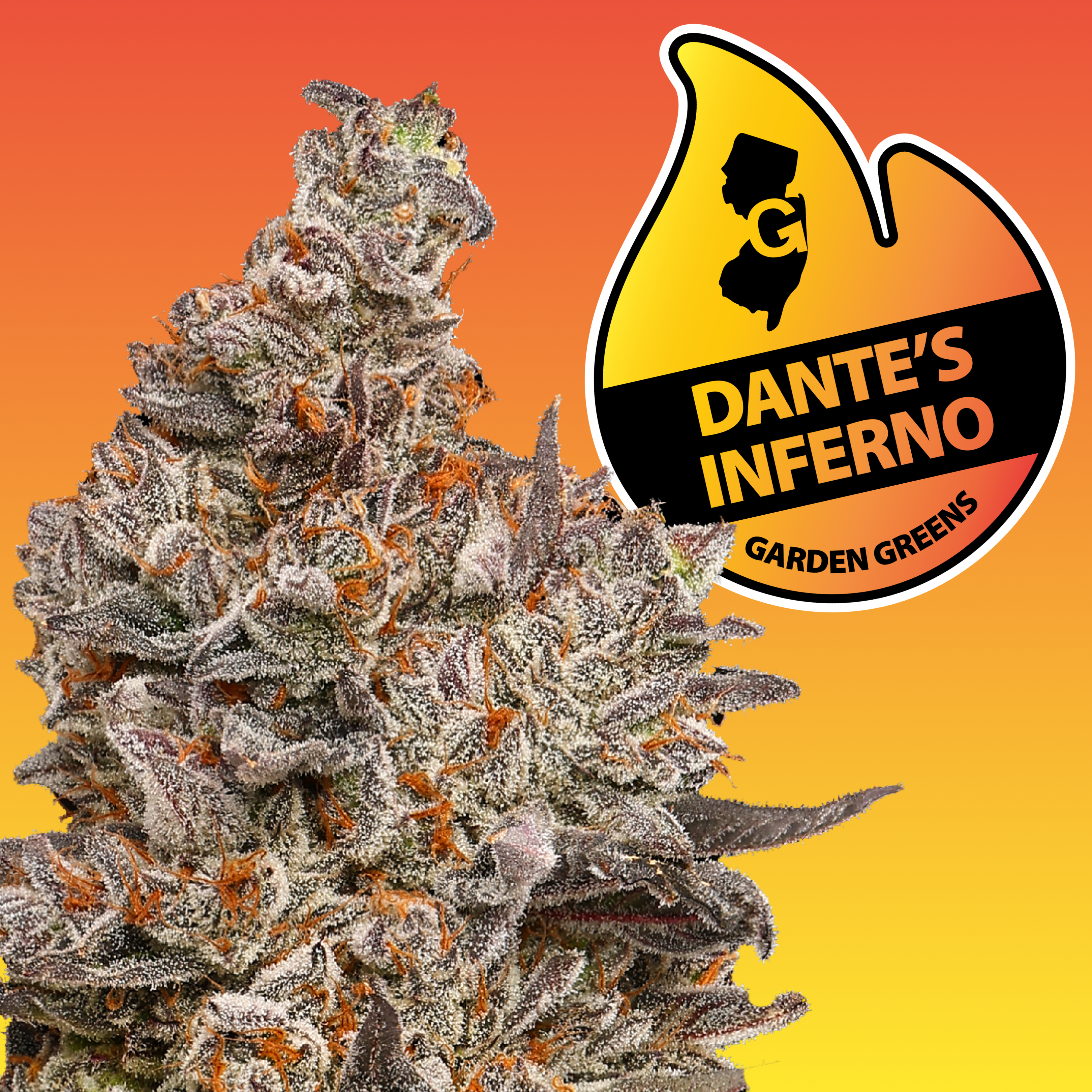 DANTE'S INFERNO BY TOKESLY | FLOWER