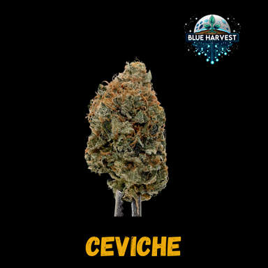CEVICHE | FLOWER - 3.5 g