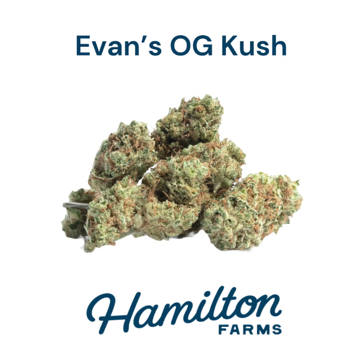 EVAN'S OG | FLOWER
