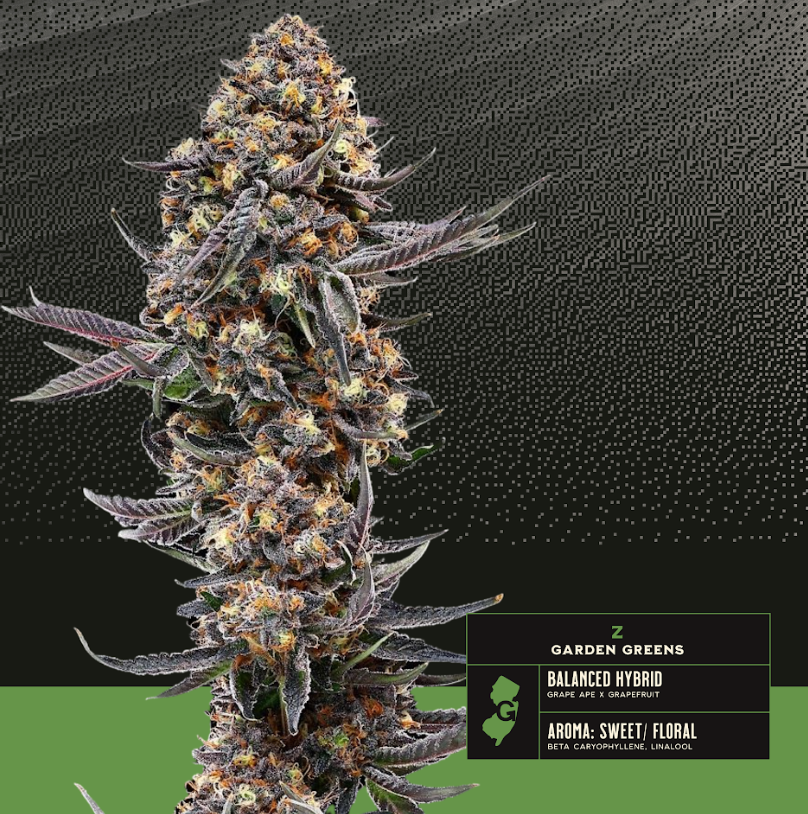 Cannabis Flower in Red Bank, NJ | Canopy Crossroad