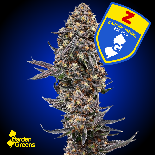 Cannabis Flower in Red Bank, NJ | Canopy Crossroad