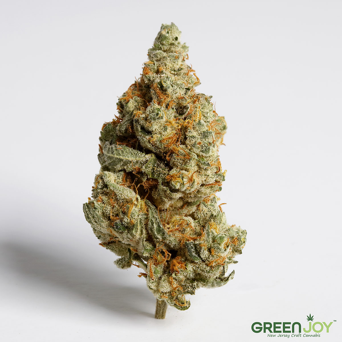 BANANA COOKIES | FLOWER 3.5G