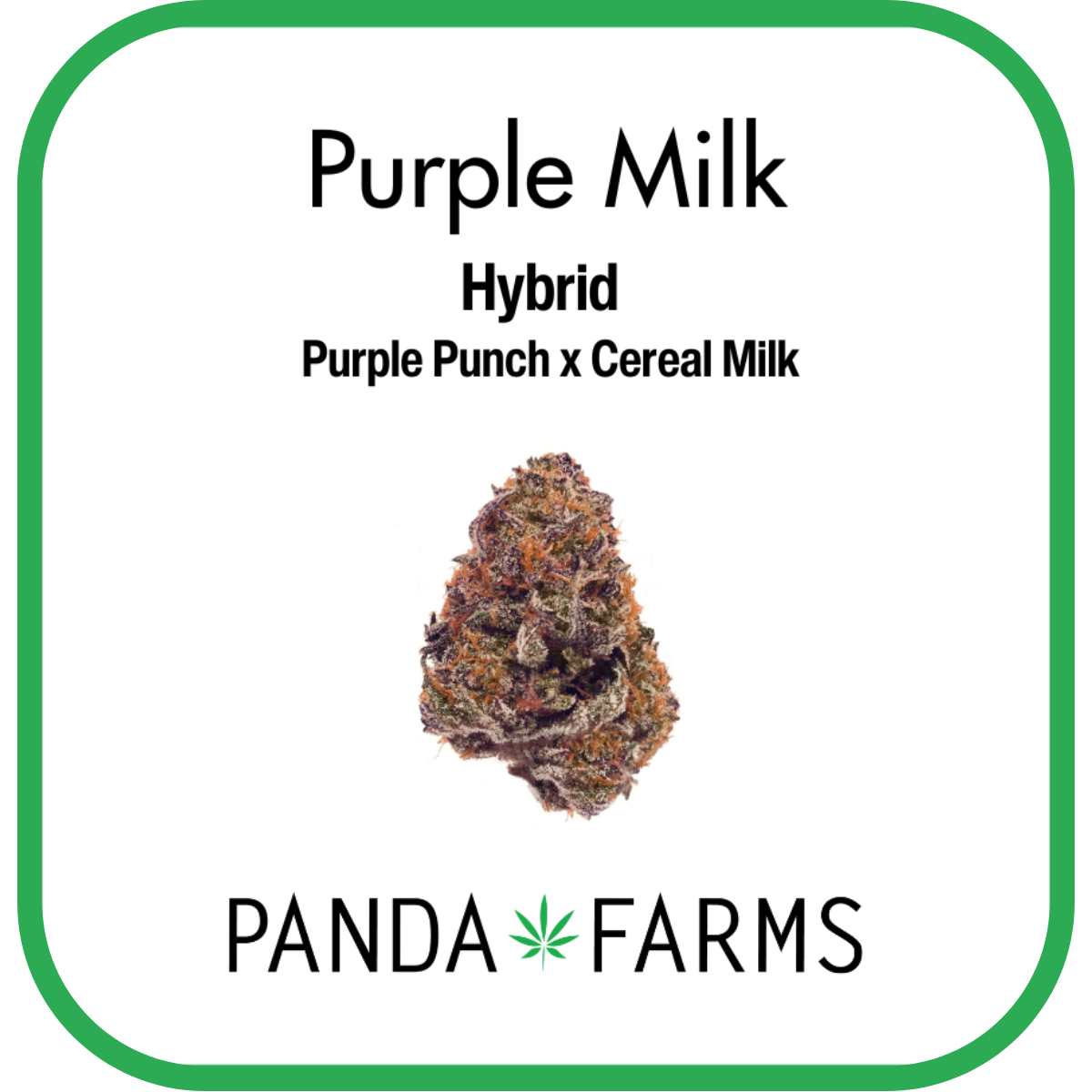 PURPLE MILK | FLOWER 3.5G