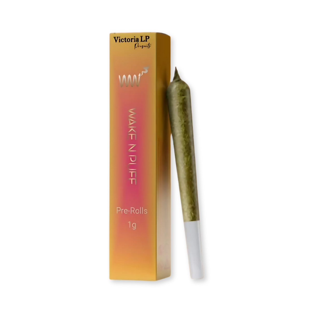 SUN RISE MANGO | KEYSHIA | 1G | 1PK