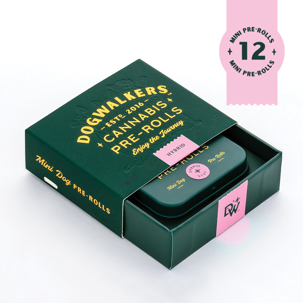 APPLE COBBLER | 4.2G | 12PK