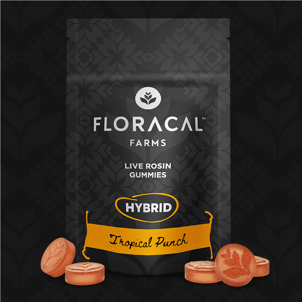 GUMMY | TROPICAL PUNCH | 100MG | 10PK