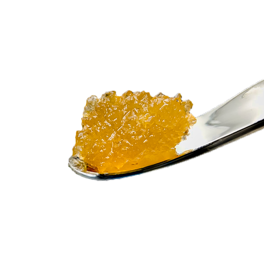 LIVE SUGAR | SHERBANGER | 1G