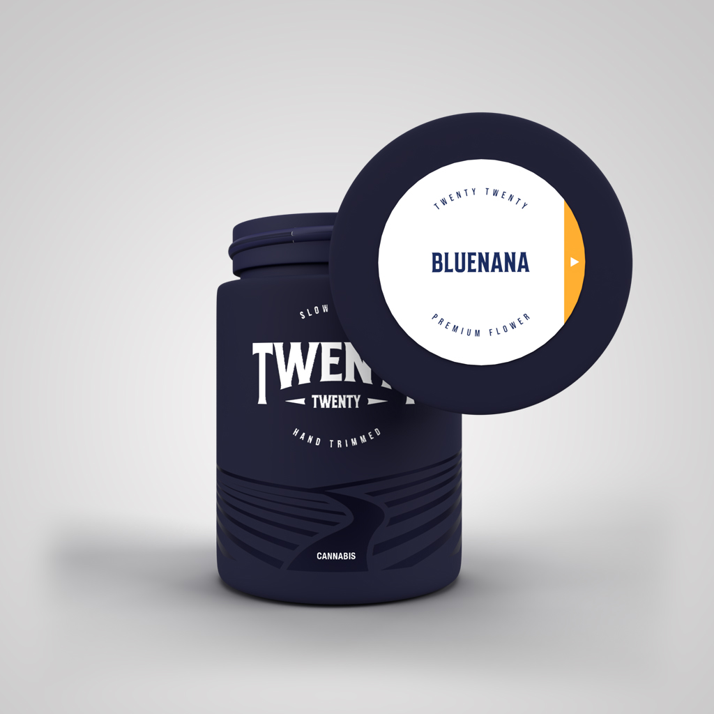BLUENANA | 3.5G