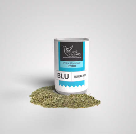SHAKE | BLUEBERRY | 7G