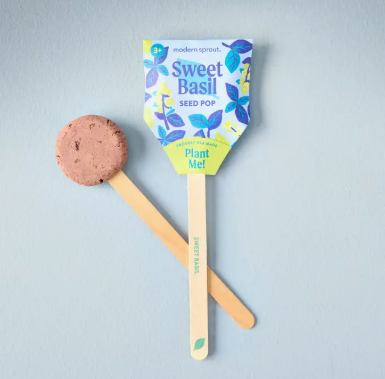 GARDEN SEED POP | SWEET BASIL - One Size