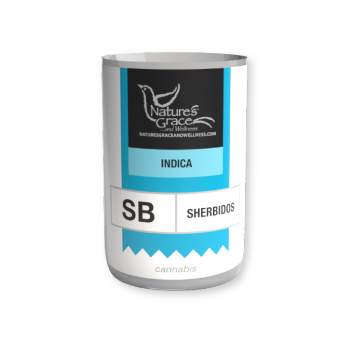 SHERBIDOS | 3.5G