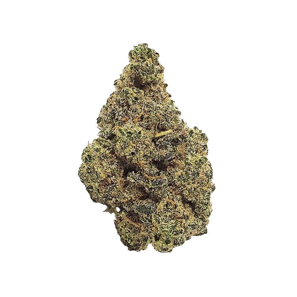 BLUEBERRY AK | 14G
