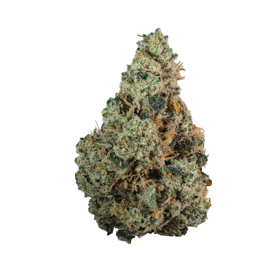 POPCORN | STONE SOUR #9 | 14G