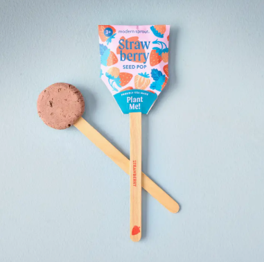 GARDEN SEED POP | STRAWBERRY - One Size