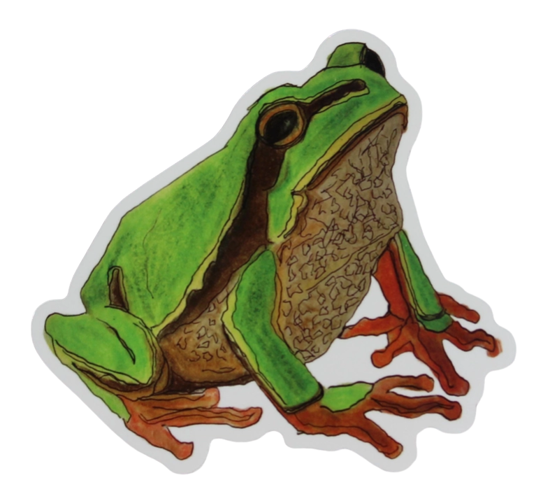 LENA DRAWS - STICKER | HAND DRAWN TREE FROG