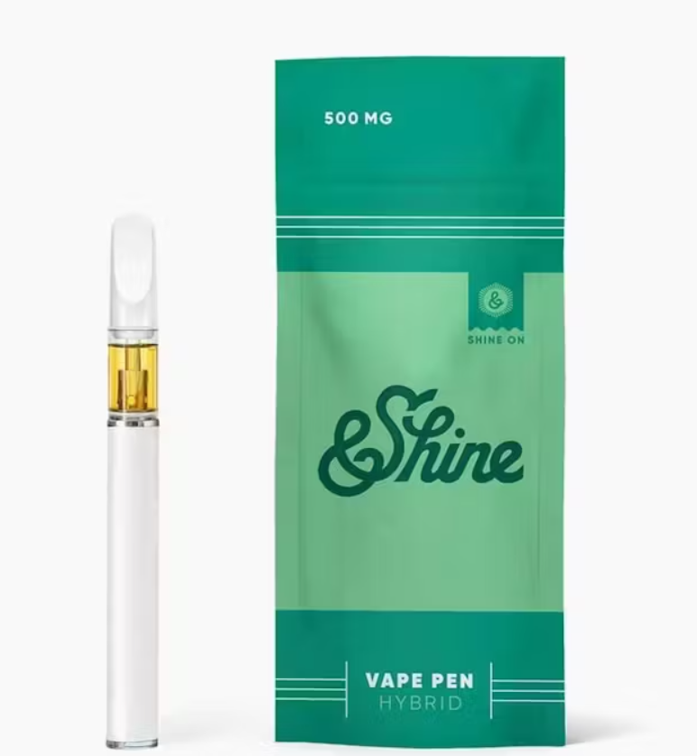 DISPOSABLE | BLUEBERRY | .5G