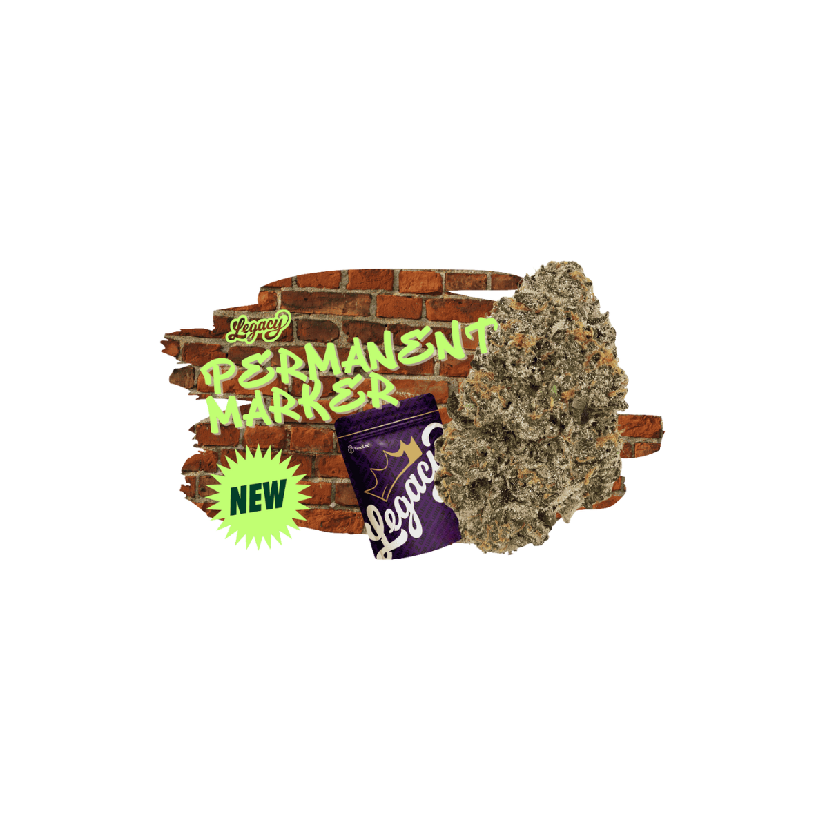 PERMANENT MARKER | 1G