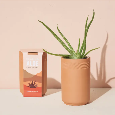 TERRACOTTA GROW KIT | HEALING ALOE - One Size