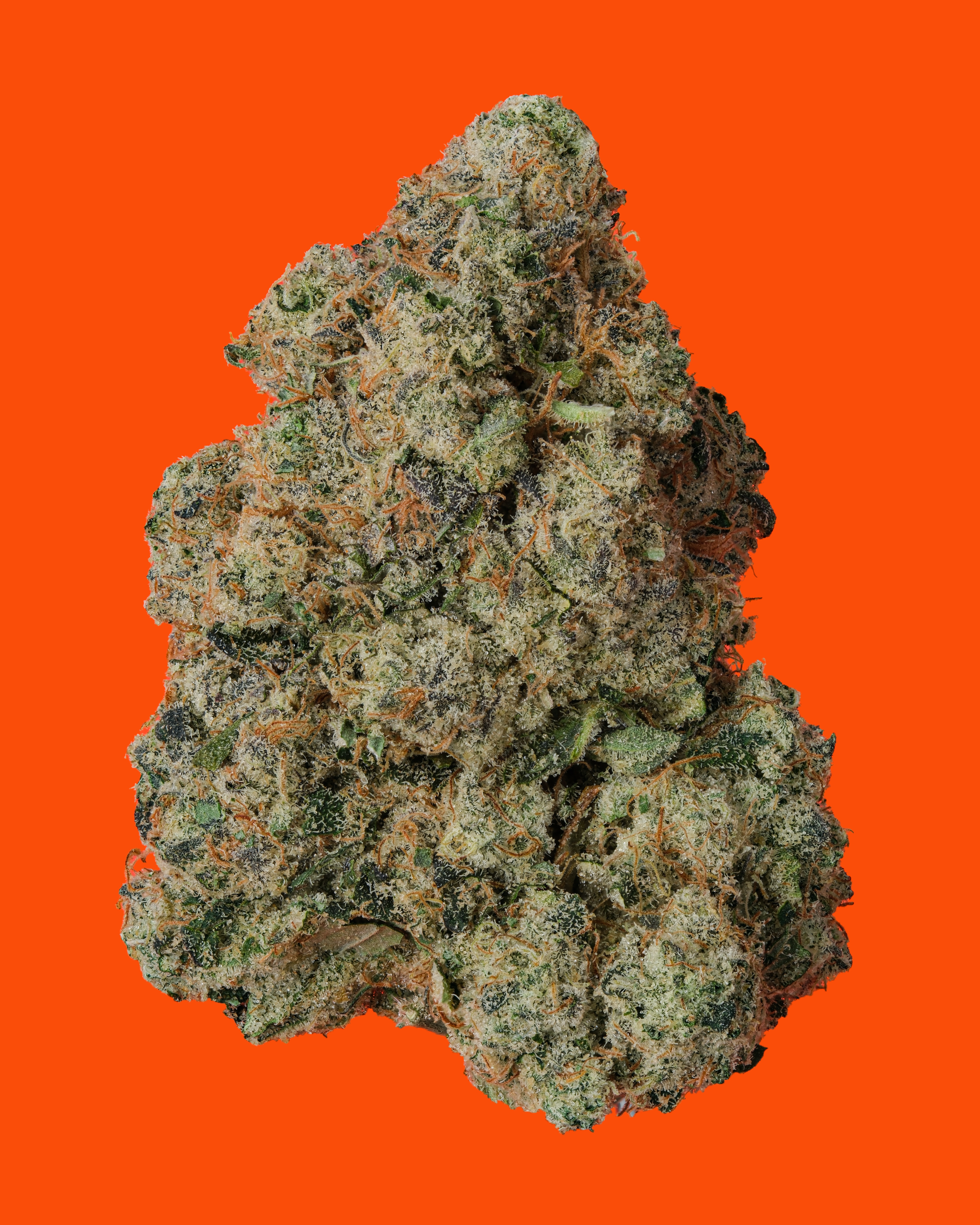 FOX RIVER CHEM | 14G