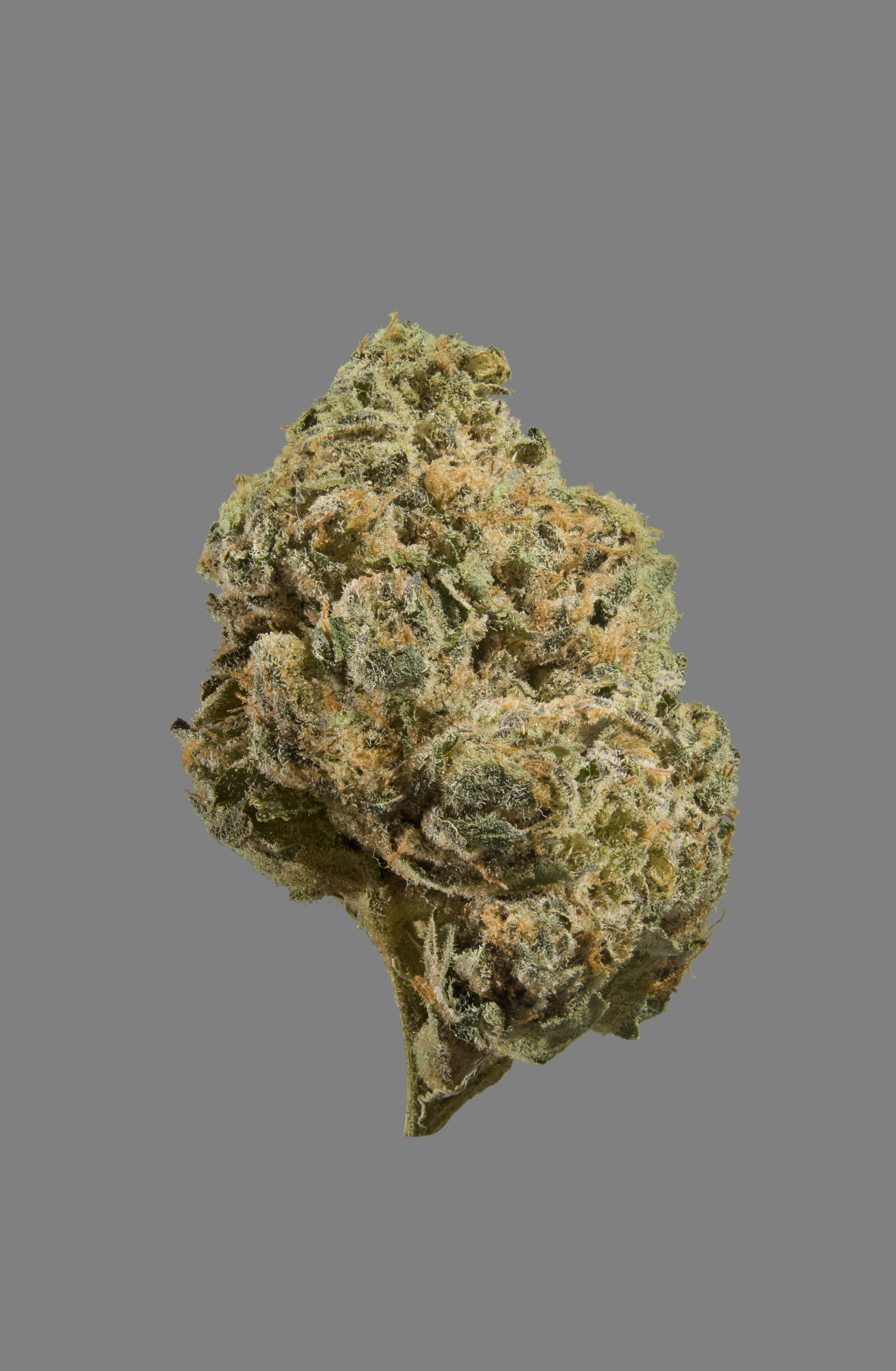 LEMON SUGAR | 3.5G