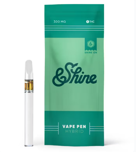 DISPOSABLE | BLUE DREAM | .5G