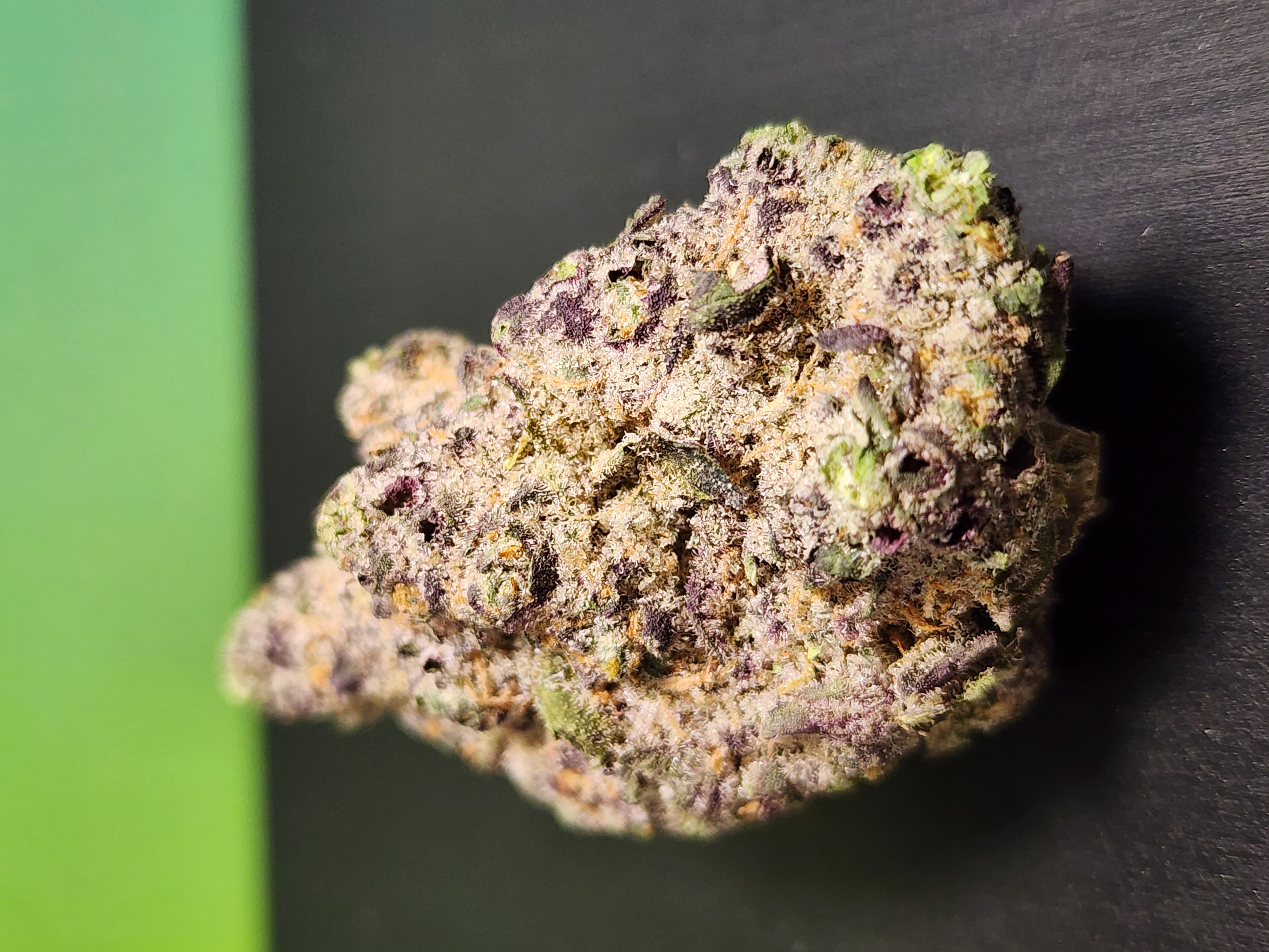 POPCORN | GOGURTZ | 7G