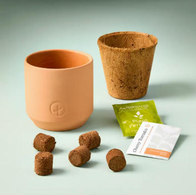 TERRACOTTA GARDEN KIT| CHERRY TOMATO - One Size