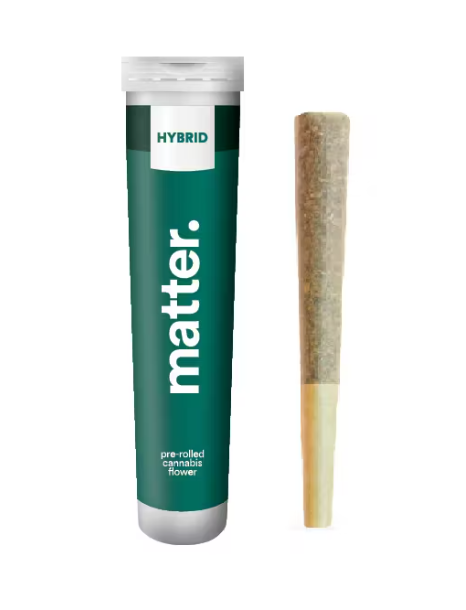 BUTTERSCOTCH WILLY | 1G | 1PK