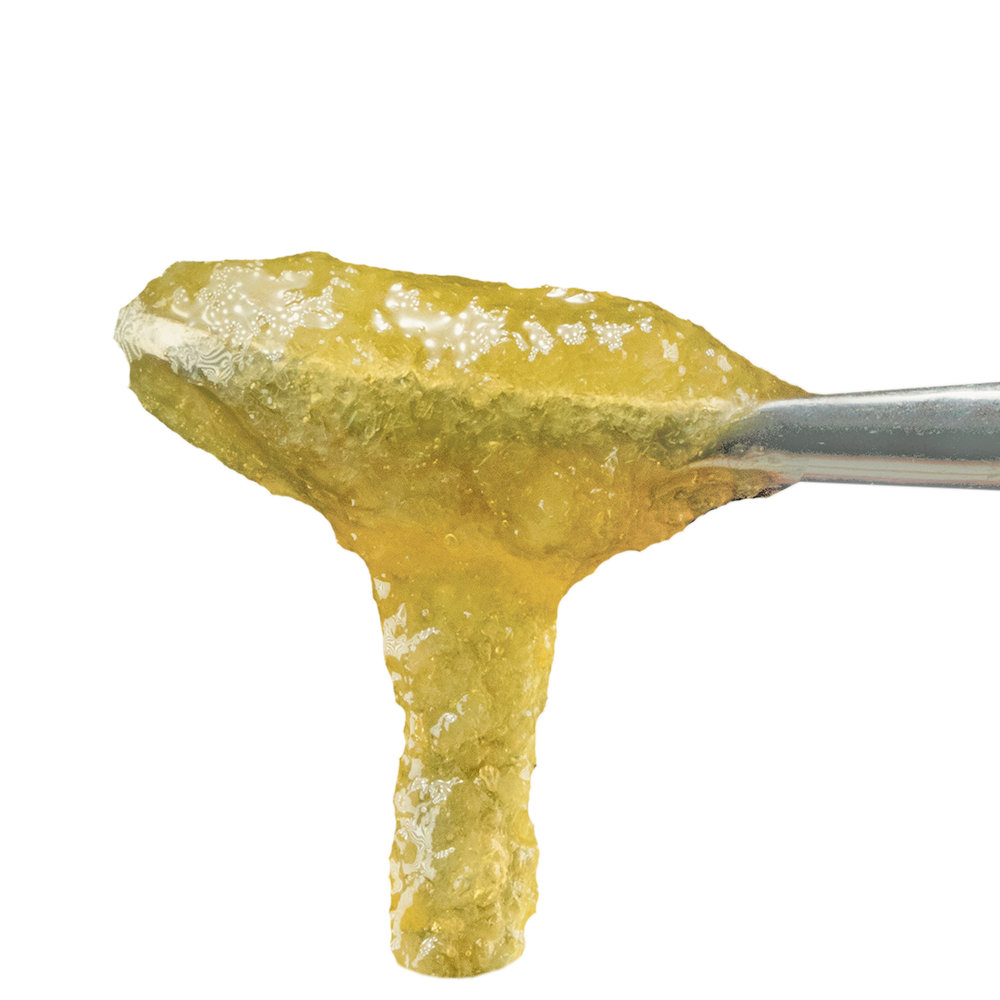 LIVE ROSIN JAM | BLULATO | 1G