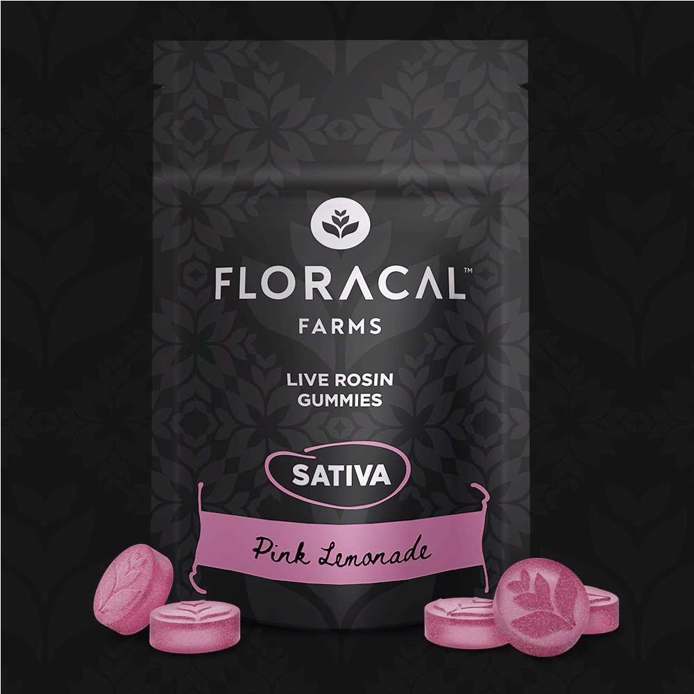 GUMMY | PINK LEMONADE | 100MG | 10PK