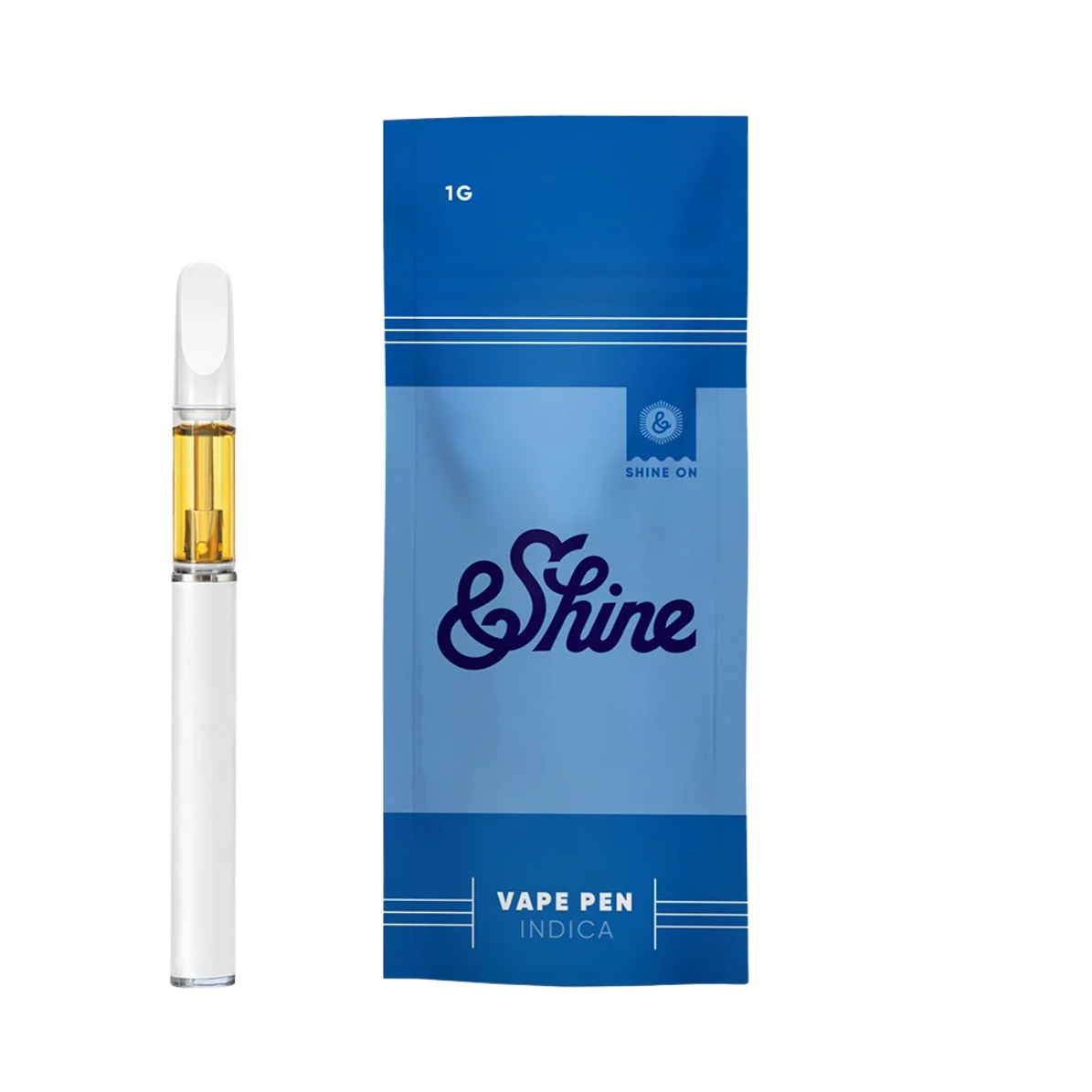 DISPOSABLE | MANGO | 1G