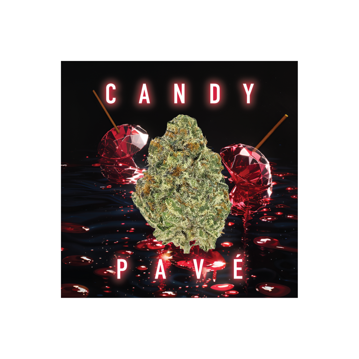 POPCORN | CANDY PAVE | 14G