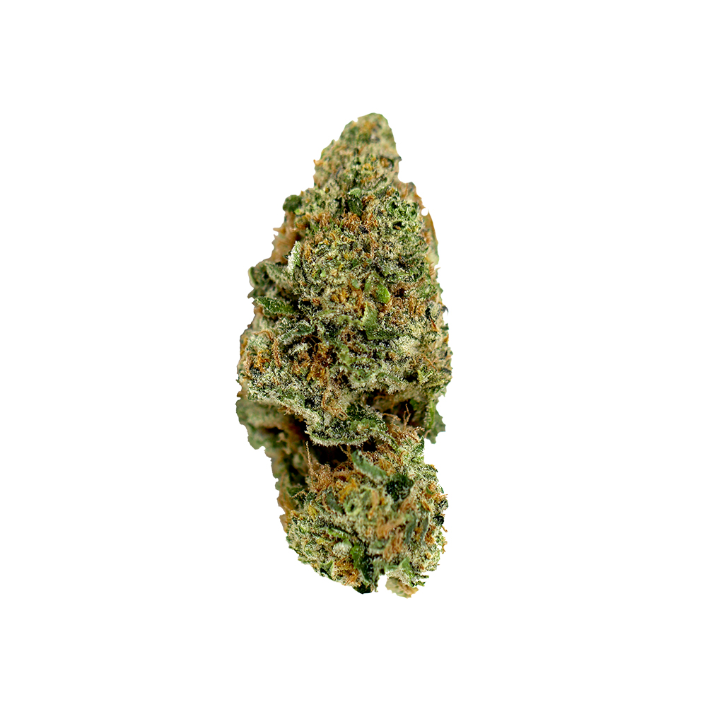 SHAKE | BANANA MILKSHAKE | 28G